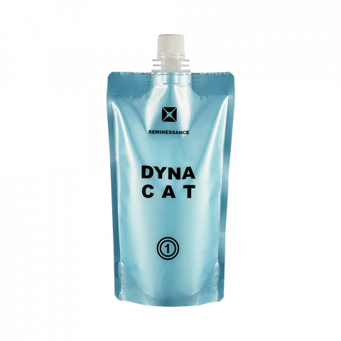 르미네상스 다이나 펌제 CAT(보통모)/CA(극손상모) 400g