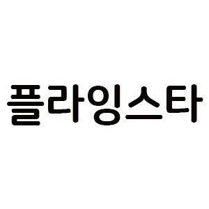 플라잉스타 아이콘